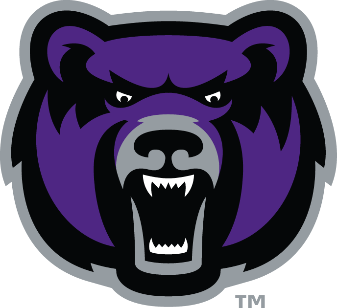 Central Arkansas Bears 2009-Pres Alternate Logo v8 diy fabric transfer